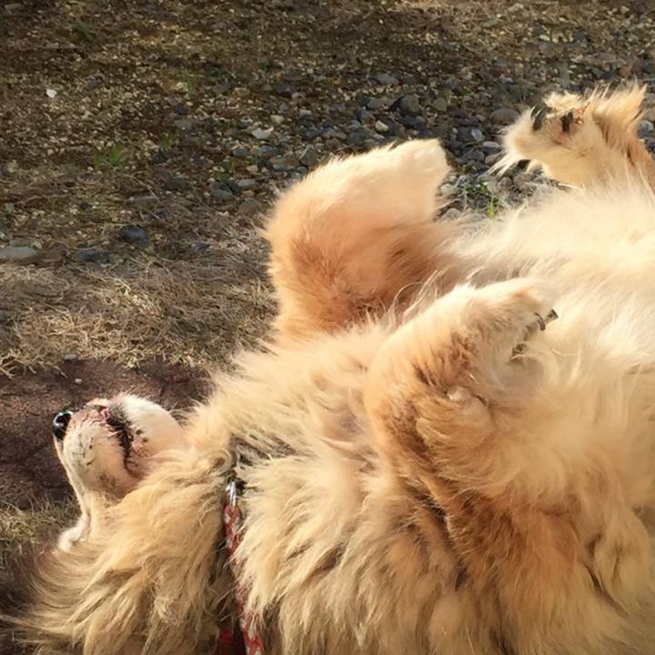 3ed7d4d0 4d56 4576 bce1 2a2e2f7e4e44 1606572466587