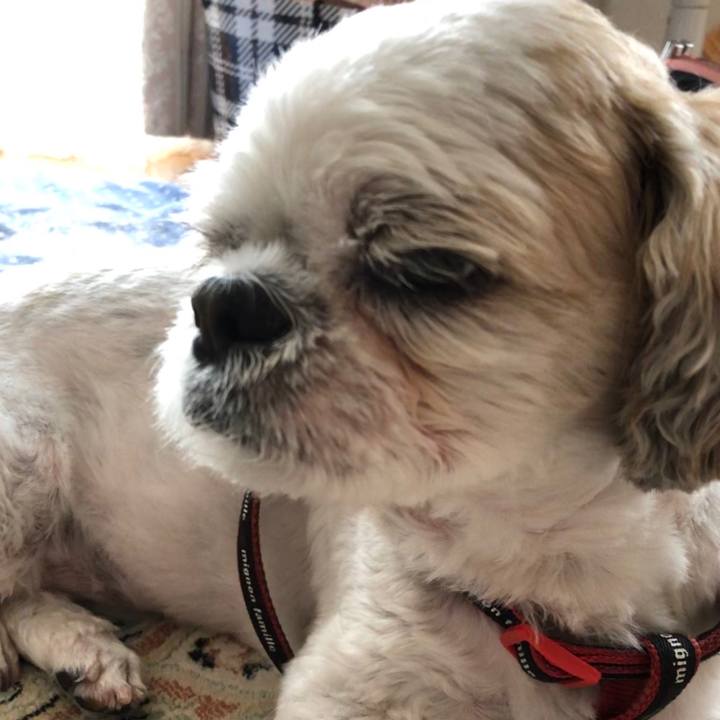 3ed7d82b 617a 41d7 b653 28c6c81e495d 1563918345316