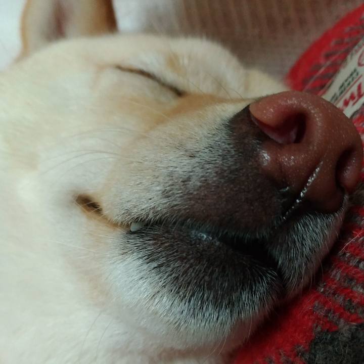 3ed7e47b fa95 4b81 952d 20b15a9e1478 1524746381427