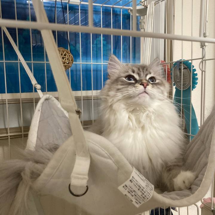 3ed7f689 7861 4ff1 a775 fea820d5f9b5 1740196845496