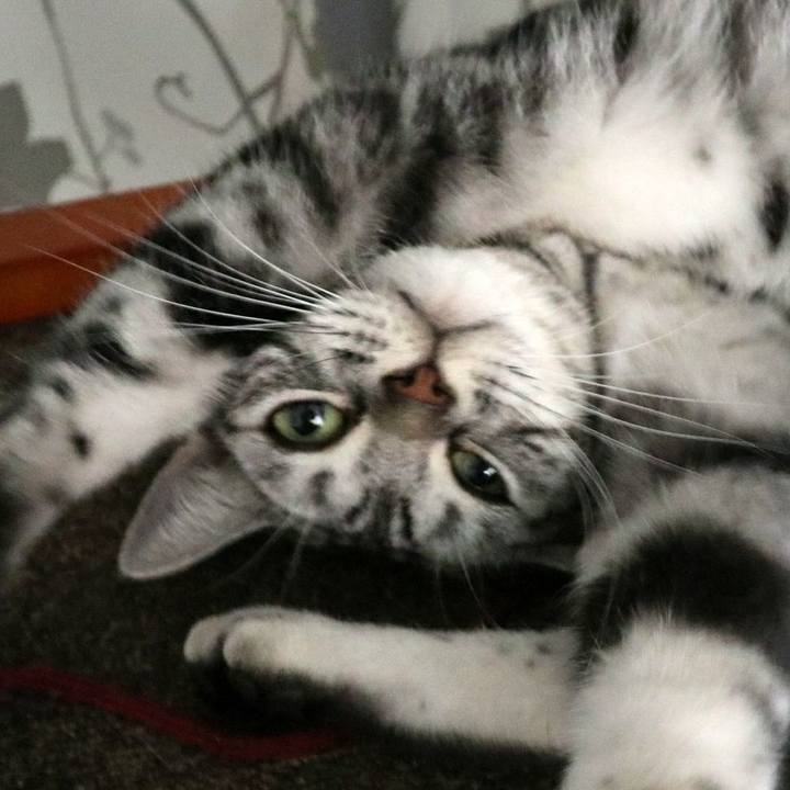 3ed845a6 a079 4cb0 9cf1 067283bc29e6 1598741538026