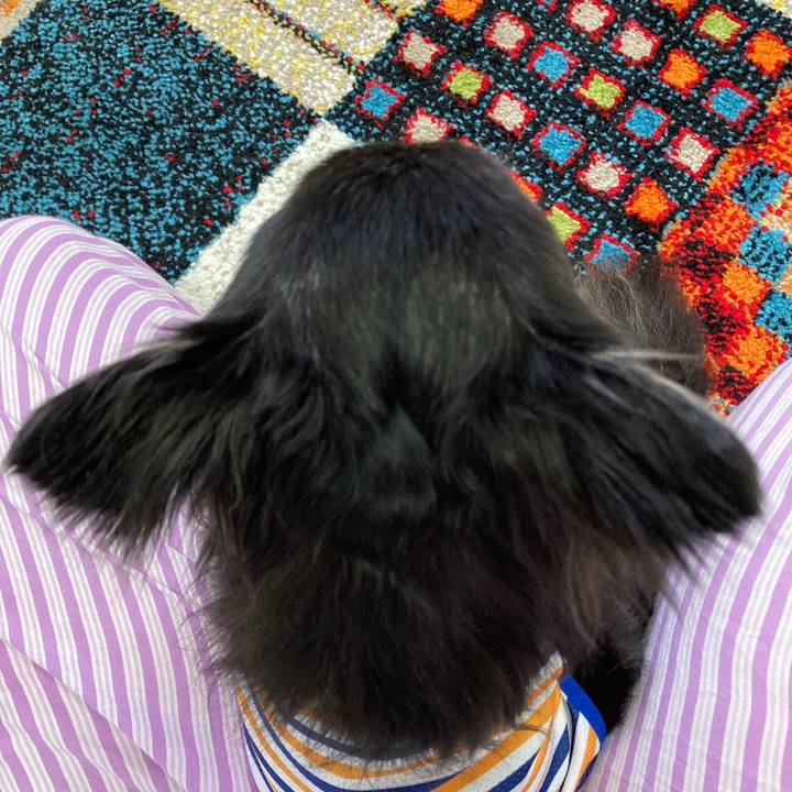 3ed84dd7 58ef 428a 98cc 1a60554af232 1688913831669