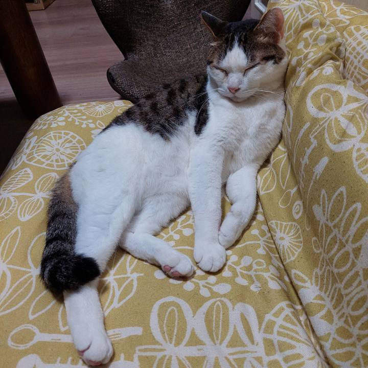 3ed88c69 d94b 4e5e a530 c0baf77e0e3c 1719312350802