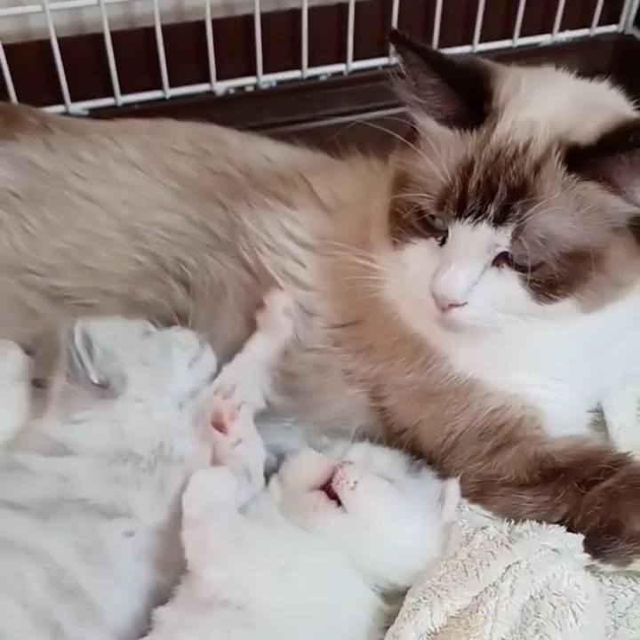 3ed89e4c 83c4 4ed4 8efd d8e3a7cb4ea4 1651981474579