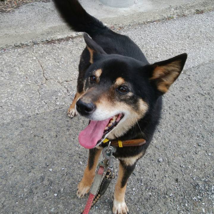 3ed8d742 0935 4147 98ee 61cb121c5809 1523412677445