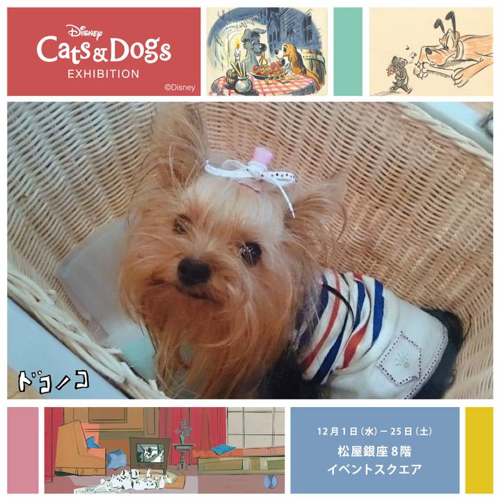 3ed9333e 29ff 4b64 959b fb7ccbc46848 1638322167021