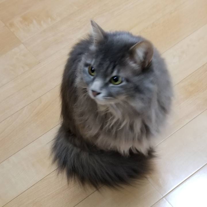 3ed9347c a915 4565 9ab2 2c7082edf330 1555361311251