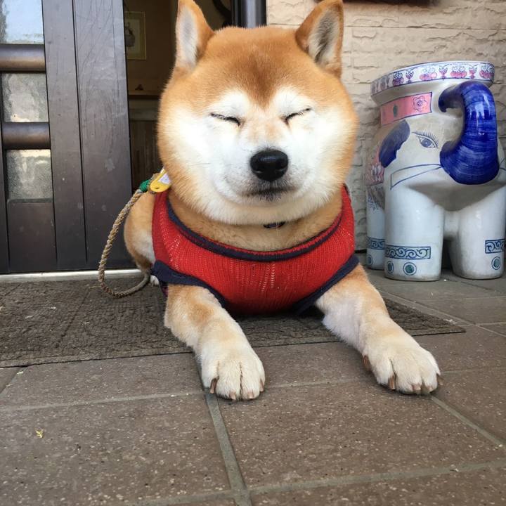 3ed962af 3714 4025 abd6 a7897ab03d2b 1554457208790