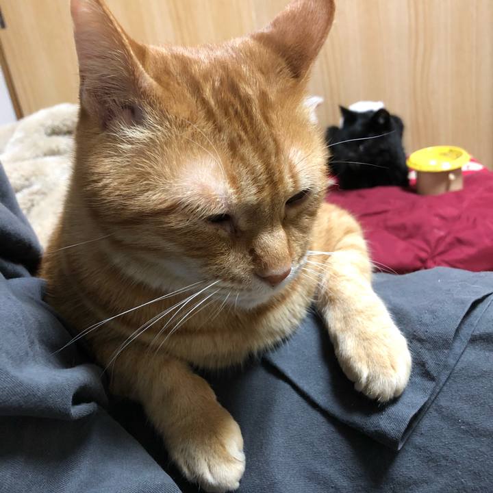 3ed9786a dd32 4b09 86d9 c249ec84130e 1646996185454