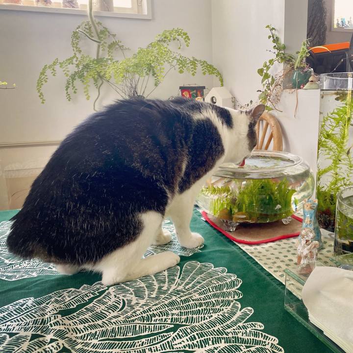 3ed9a14b e152 4ce0 835c aa949a2ec62f 1620278654714