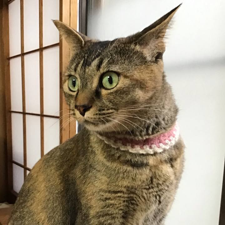 3ed9dceb 66d3 4ec3 bb3a 0d106d04a230 1655370680597