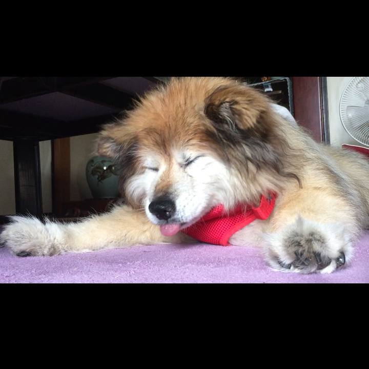 3ed9ebd3 7b10 48d7 8d34 3565bf05381f 1557984004748