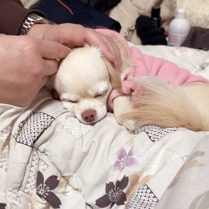 3ed9f7bc cfe5 4ac9 9067 5d302bc80915 1735719414536