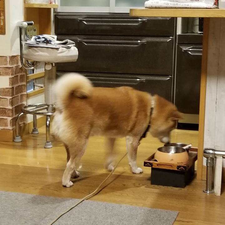 3eda0a9f 514c 4ecb 84d8 03ad4ec47ef8 1635325380983