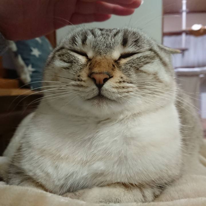 3eda1dd2 ca79 4885 a1fe c8c7774b1c85 1581515894455