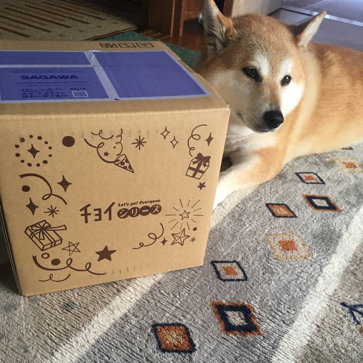 3eda321e 4205 406d 8301 d97fdc717c58 1619236160629