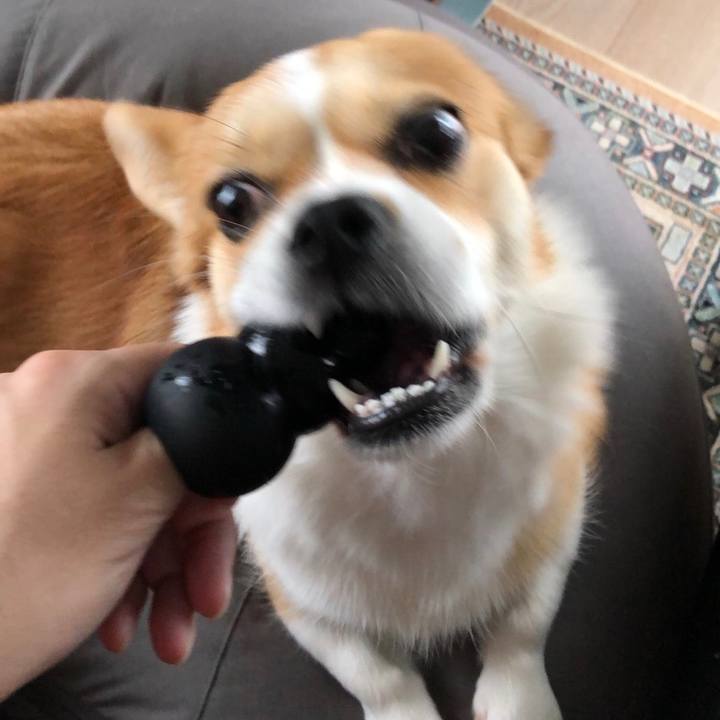 3eda46e7 bec7 47de 8011 5f51e39de60e 1602561870070