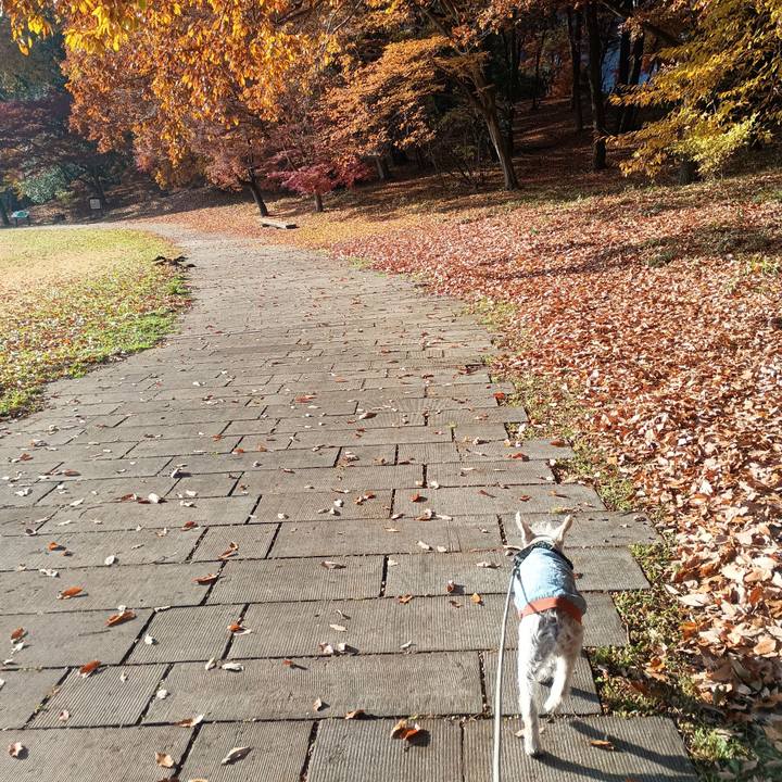 3eda4c1c 1678 4093 85ff 73b790e4fc61 1764329539683