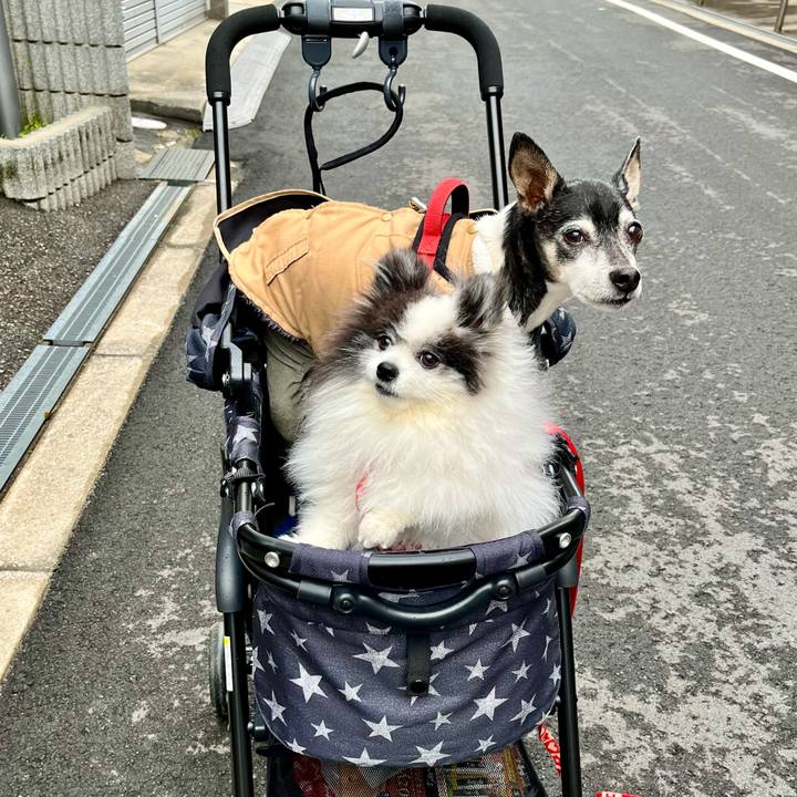 3edaa1cc 3277 4369 bfd8 66ef3065f4bb 1648976161460