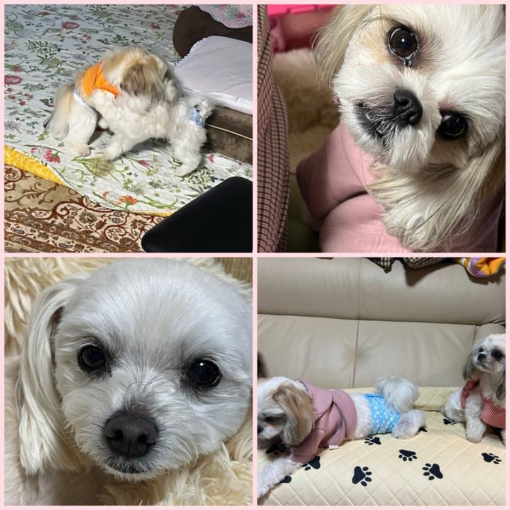 3edab1f6 8e30 4f28 a787 651575404637 1713703797277