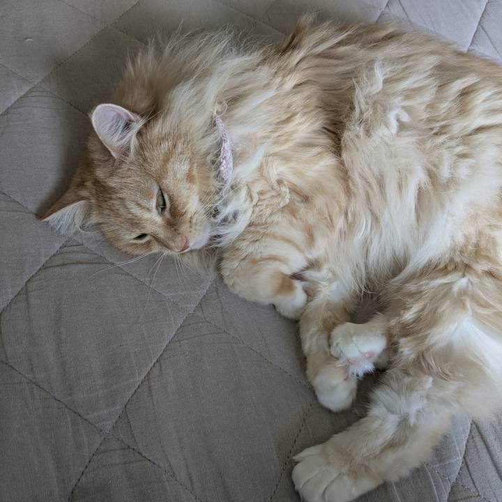 3edb00e5 0d35 4736 a654 c78eda1c6c07 1754189884147