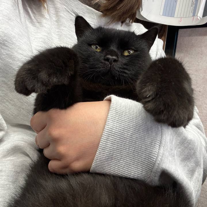 3edb13ed f4ff 42e0 98cf 3bf9f147b67b 1763006464056