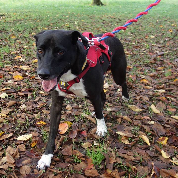 3edb48cb ba28 4f1c 9bb6 d1fe67b89c29 1602461061591