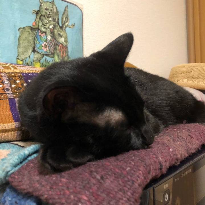 3edb637b bef5 4daf b80d 7cac7d1539e5 1528029553689