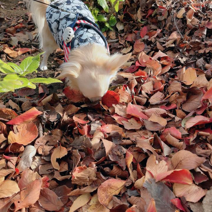 3edb6e8b f0c8 4006 891d 2af779bbca2a 1700721908564