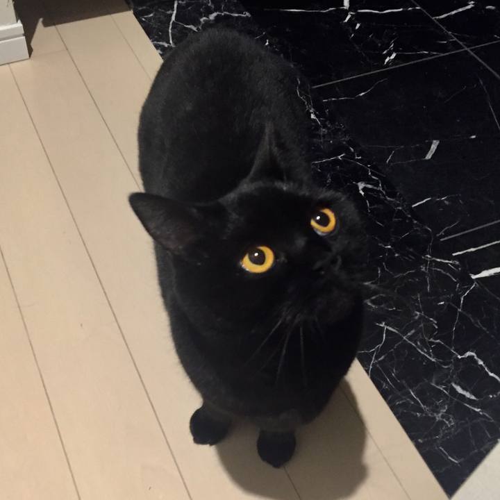 3edb79b8 aca4 40d1 8900 1ed7535ba1a6 1521459813057