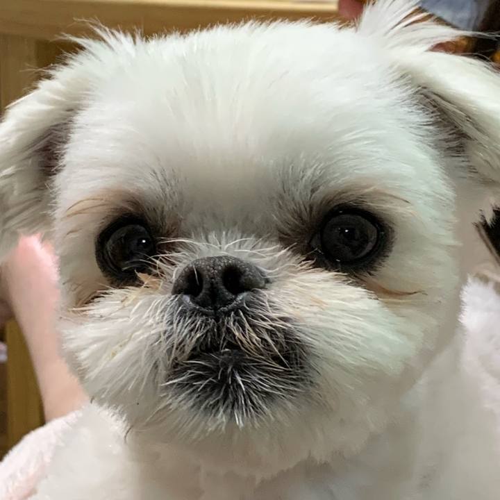 3edb7a96 74c0 4bf9 babf ab543a74e9d6 1676032139780