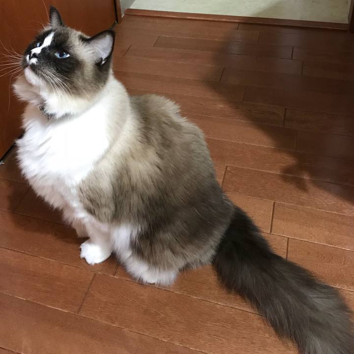 3edbc573 aa85 43a9 9dfb f567dd04cc82 1514020850965