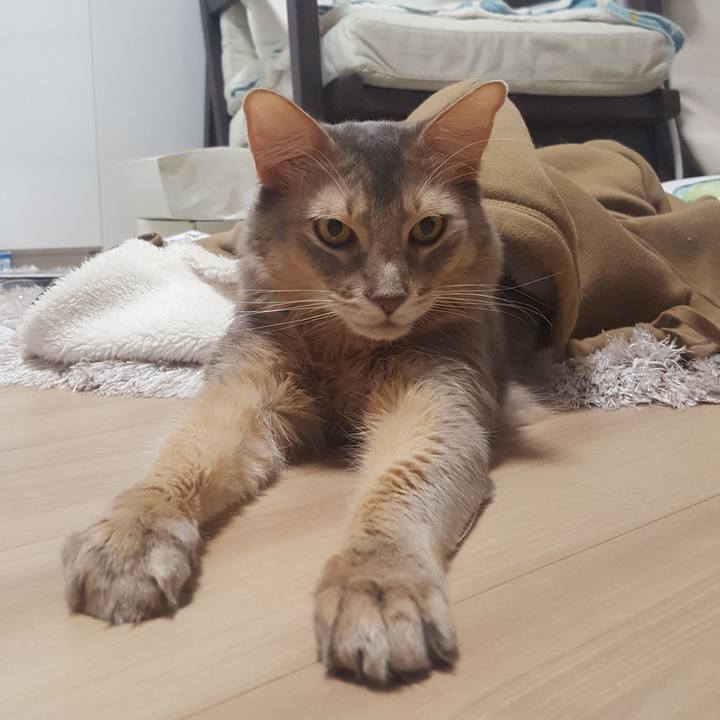 3edbe081 5b0c 4209 9e8d ba9c51cf84fd 1577404629699