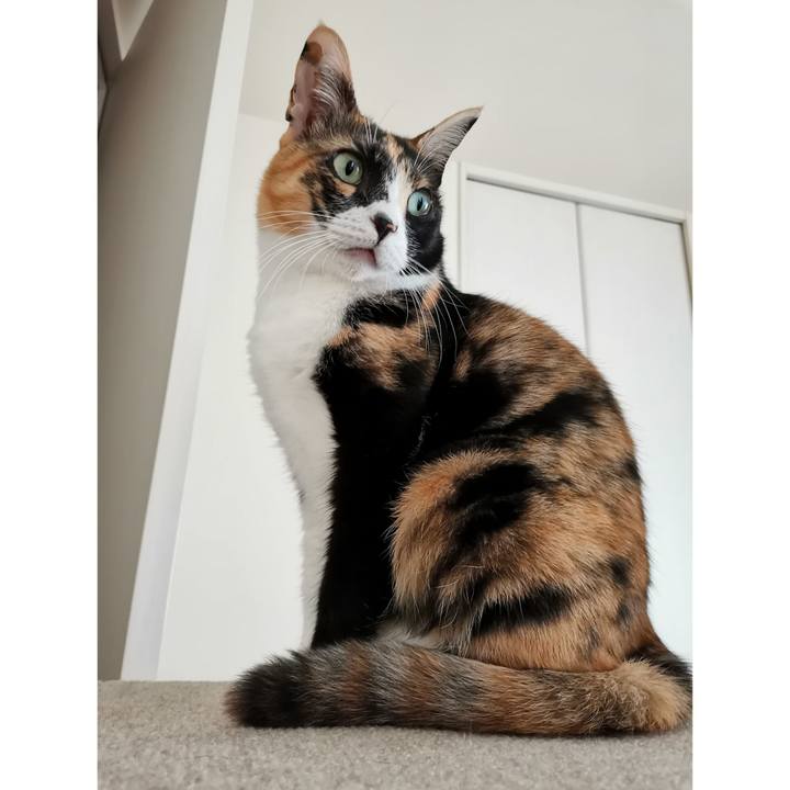 3edc1330 99c4 4c93 ba24 7915cded25c3 1669609700056