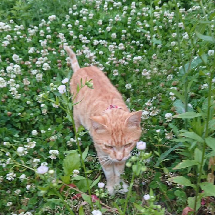 3edc1cf1 af89 4a8b a632 75f963ab2556 1561108895024