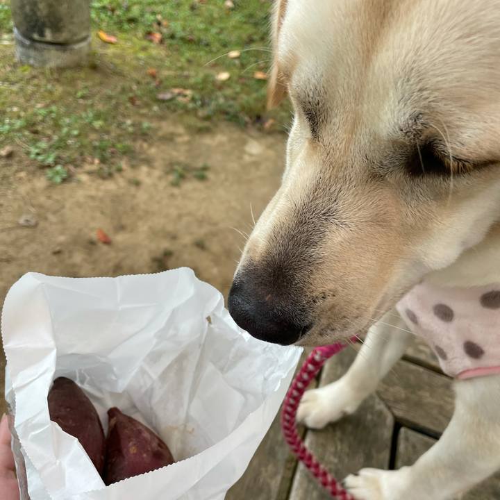 3edc4292 25a1 4a73 a70e 5f1ebbf4357e 1634874651111