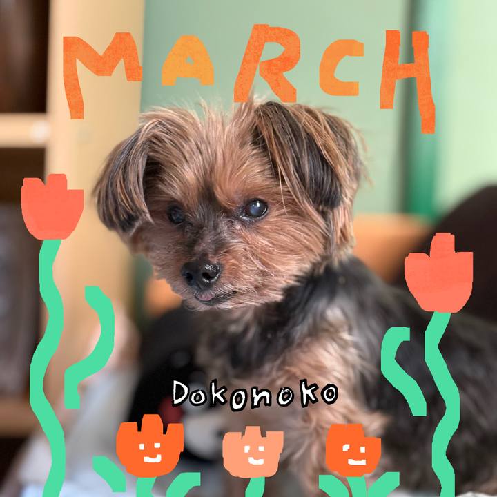 3edc6def e7e1 4452 b841 6f0e31406f8a 1741208520440