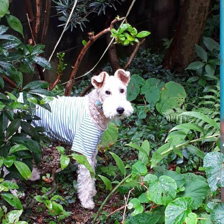 3edc8226 e95f 4d25 8d79 4406802f080d 1508504547713