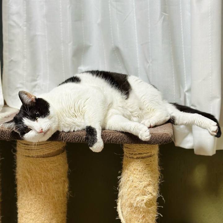 3edc89dd 3ec2 4067 9587 26331ff403c8 1706666070330