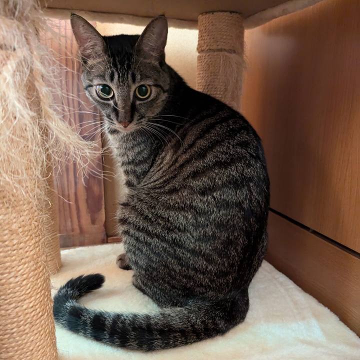 3edca0ef 555b 4f65 8515 740c605ae63f 1725541104688