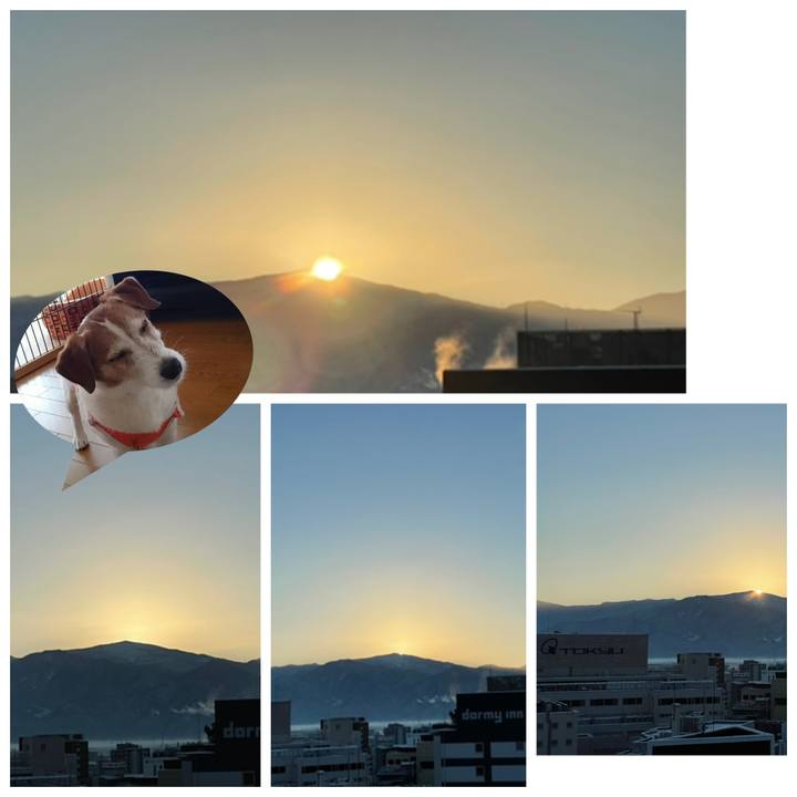 3edcc966 29b8 46c0 86aa 0d887afb927a 1642286281768