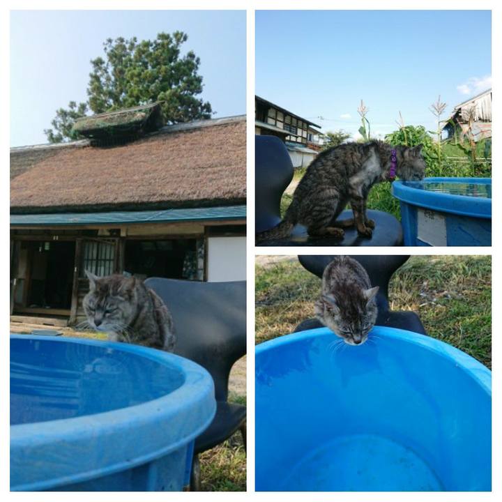 3edcca55 4c46 45ea 87f1 78439e3320ba 1598164642033