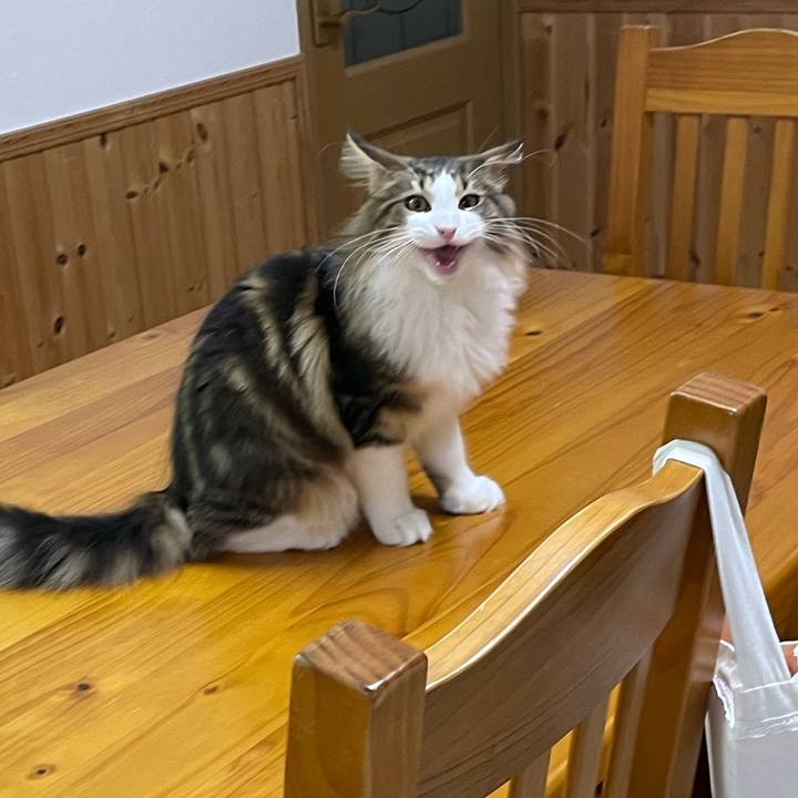 3edcdcac a01d 410d b18b d68d0ad3de18 1638913972377