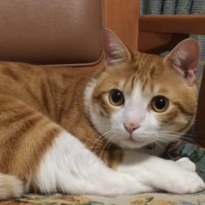 3edce258 4258 41cc 9471 d084dc1f6a02 1508658176379