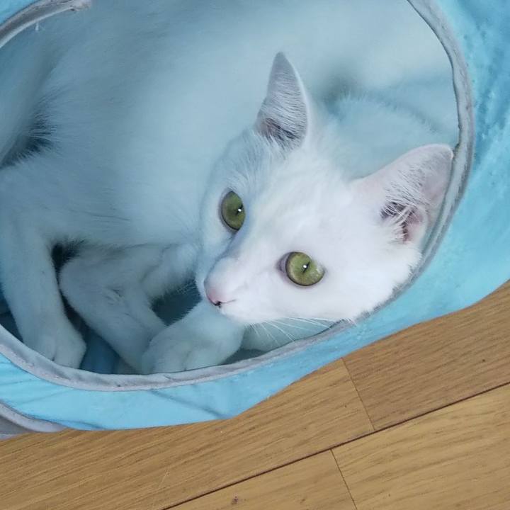 3edced34 37f2 43c9 b503 08e179039995 1629432552507