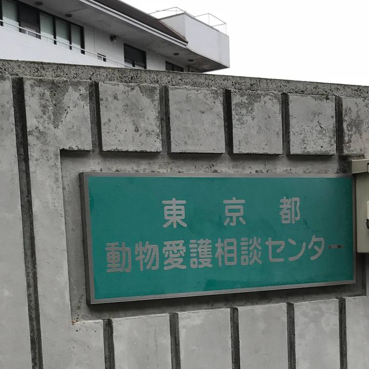 3edd5790 1d3f 4dc6 aaf4 0f5729053b63 1566447837003