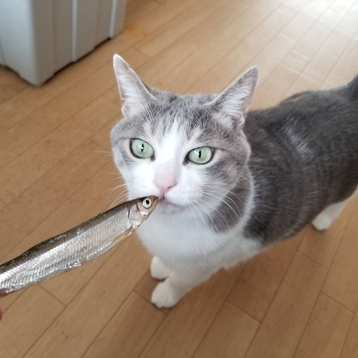 3edd6d9b b587 4af5 9ad0 37145f0fcf41 1646132515651