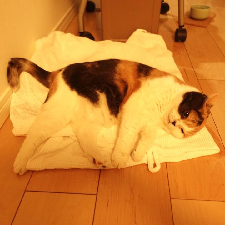 3edd7961 3e9f 4e2d 8d48 bc292aaf33a2 1525699251575