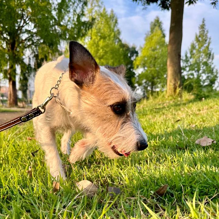 3eddc6ab 3094 4bee b350 7e9cc9b91103 1720395688598