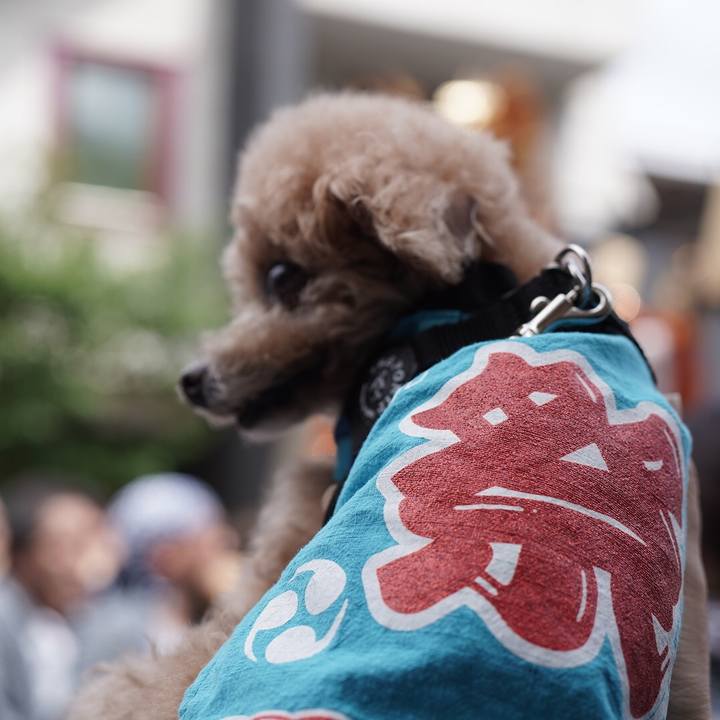 3eddff2c 43fe 4204 93c9 b996f7cd4a79 1697254805399